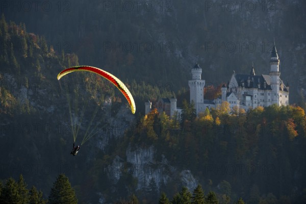Paragliders in front of Neuschwanstein Castle, surrounded by autumn forests and majestic mountains, Schwangau, Ostallgäu, Allgäu, Swabia, Bavaria, Germany