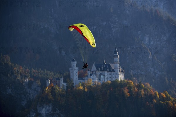 A paraglider flies in front of Neuschwanstein Castle in an autumn landscape, Schwangau, Ostallgäu, Allgäu, Swabia, Bavaria, Germany