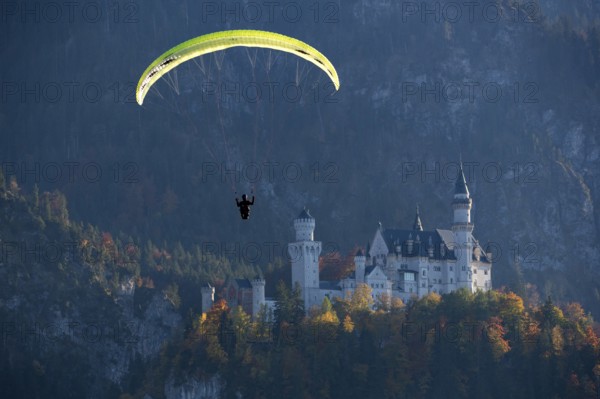 Paraglider flies in front of Neuschwanstein Castle in autumn forest scenery, Schwangau, Ostallgäu, Allgäu, Swabia, Bavaria, Germany