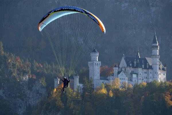Paraglider floating in front of picturesque Neuschwanstein Castle in autumn scenery, Schwangau, Ostallgäu, Allgäu, Swabia, Bavaria, Germany