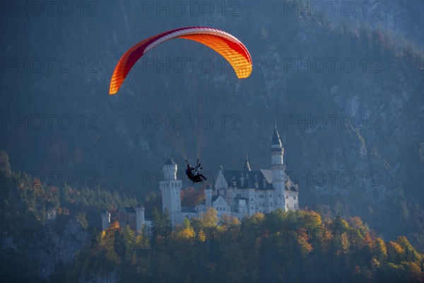 Paraglider flies in front of Neuschwanstein Castle, surrounded by autumn colors and thick forests, Schwangau, Ostallgäu, Swabia, Bavaria, Germany
