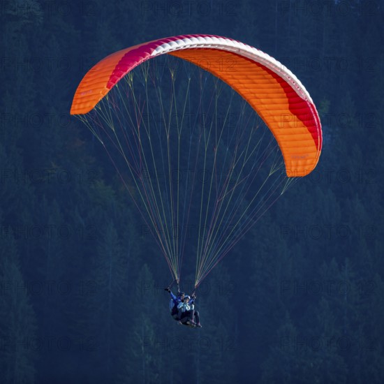 A paraglider soars high in the air with a bright red umbrella, Schwangau, Ostallgäu, Allgäu, Swabia, Bavaria, Germany