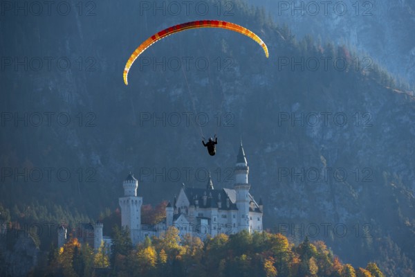 A paraglider in front of Neuschwanstein Castle, surrounded by mountains, Schwangau, Ostallgäu, Allgäu, Swabia, Bavaria, Germany