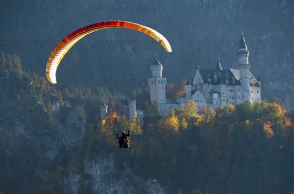 A paraglider floats next to Neuschwanstein Castle in the midst of an autumn landscape, Schwangau, Ostallgäu, Allgäu, Swabia, Bavaria, Germany