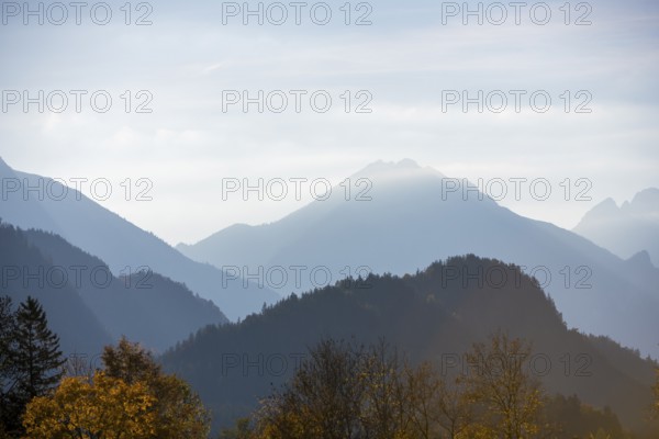 Blurred mountain peaks in the background and autumn leaves in the foreground, Schwangau, Ostallgäu, Swabia, Bavaria, Germany