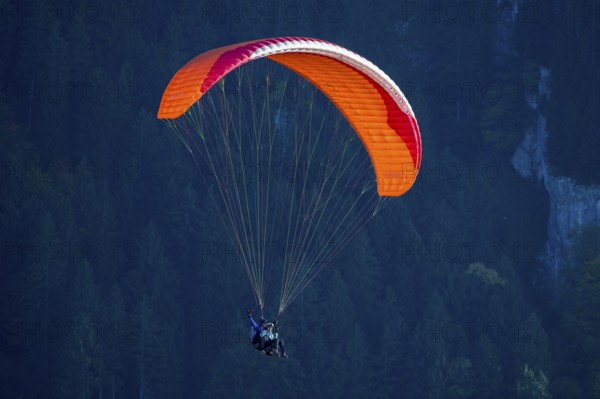 A paraglider with a glowing umbrella floats in front of the mountains, Schwangau, Ostallgäu, Allgäu, Swabia, Bavaria, Germany