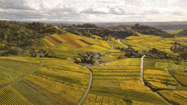 Golden sunset over the glowing autumnal vineyards on the Kappelberg between Fellbach and Stuttgart. Aerial view over the wine trail