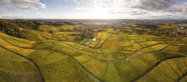 Panoramic picture over the wine trail. Golden sunset over the glowing autumnal vineyards on the Kappelberg between Fellbach and Stuttgart. View of Stuttgart and Rotenberg