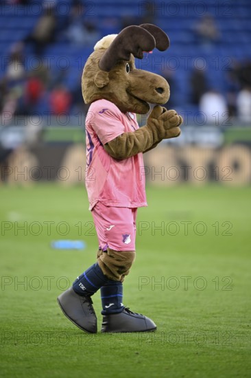 Mascot Hoffie TSG 1899 Hoffenheim in the shirt of TSG 1899 Hoffenheim, special shirt, action against breast cancer, breast cancer awareness campaign, PreZero Arena, Sinsheim, Baden-Württemberg, Germany