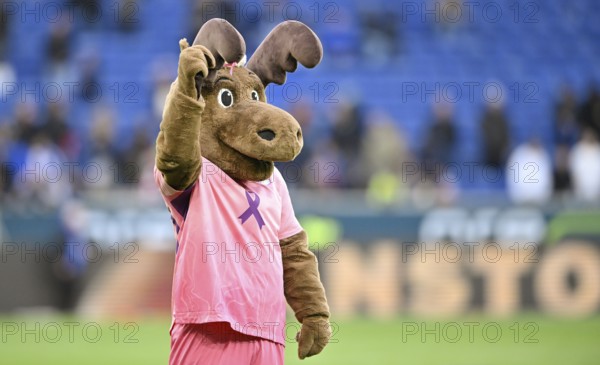 Mascot Hoffie TSG 1899 Hoffenheim in the shirt of TSG 1899 Hoffenheim, special shirt, action against breast cancer, breast cancer awareness campaign, gesture gesture thumbs up PreZero Arena, Sinsheim, Baden-Württemberg, Germany