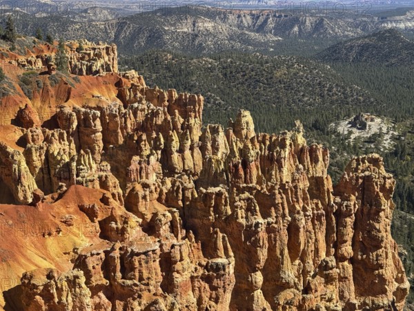 Close-up of textured red rock walls and sweeping views across green valleys, Bryce Canyon National Park is located in southwestern Utah in the United States, Majestic rock needles and red rocks in the canyon with views of forested mountains in the distance, Tropic, Utah, USA