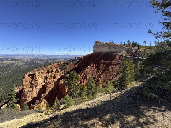 Majestic view of a canyon with red rocks and trees under clear skies, Bryce Canyon National Park is located in southwestern Utah in the United States, wide view of the canyon with red cliffs and adjacent forest under bright skies, Tropic, Utah, USA