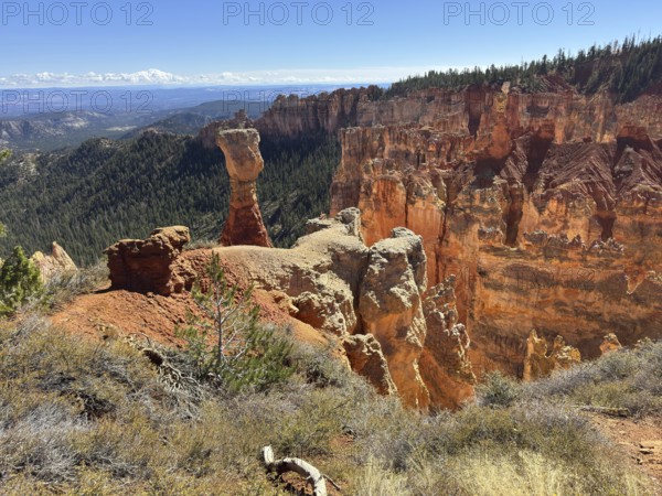 Tall stone pillars and red rocks in a spectacular canyon landscape in bright sunshine, Bryce Canyon National Park is located in southwestern Utah in the United States, characteristic red rock formation and hoodoo in a vast landscape, Tropic, Utah, USA