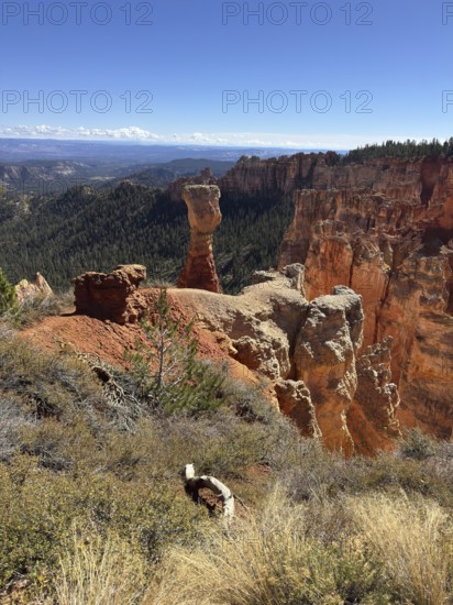 Sublime red stone pillars surrounded by green vegetation and sweeping views across the countryside, Bryce Canyon National Park is located in southwestern Utah in the United States, Notable rock formations and views of nearby mountains, Tropic, Utah, USA