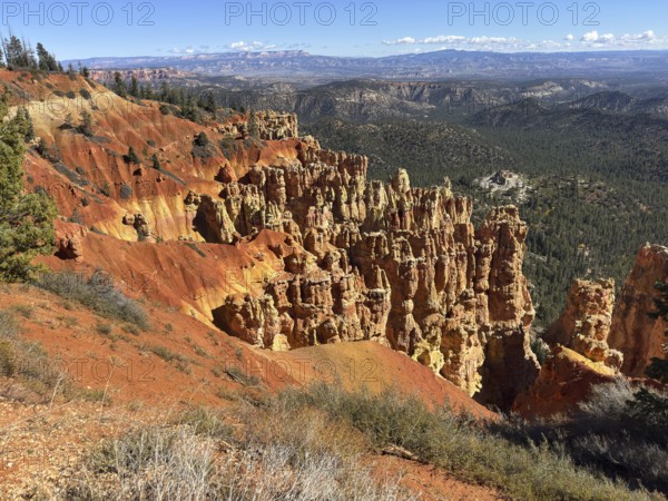 Majestic red rock formations stretch across the valley with breathtaking views, Bryce Canyon National Park is located in southwestern Utah in the United States, Breathtaking rock formations and red soil in the canyon under blue skies with vegetation in the foreground, Tropic, Utah, USA