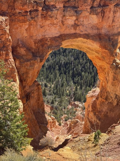 Detailed view through a red rock arch of green vegetation in the canyon, Bryce Canyon National Park is located in southwestern Utah in the United States, close-up of a large rock arch with forest views, Tropic, Utah, USA