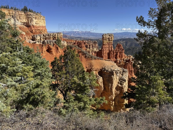 Snowy conifers and impressive red cliffs under a clear blue sky, Bryce Canyon National Park is located in southwestern Utah in the United States, Rocky mountainous landscape with green forests and clear blue skies, Tropic, Utah, USA