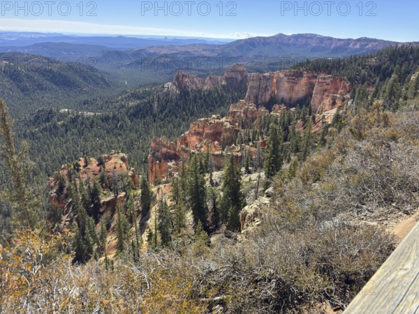 Red rock canyon with pine trees stretching out in nature under a clear sky, Bryce Canyon National Park is located in southwestern Utah in the United States, Rocky cliffs overlooking thick forests and distant mountains, Tropic, Utah, USA