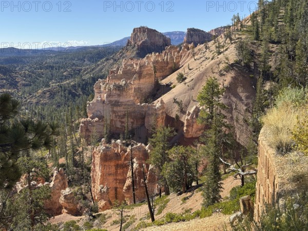 Breathtaking rock formations and pine trees in a vast desert landscape under clear skies, Bryce Canyon National Park is located in southwestern Utah in the United States, Breathtaking rock formations and canyons flanked by trees under clear sunny skies, Tropic, Utah, USA
