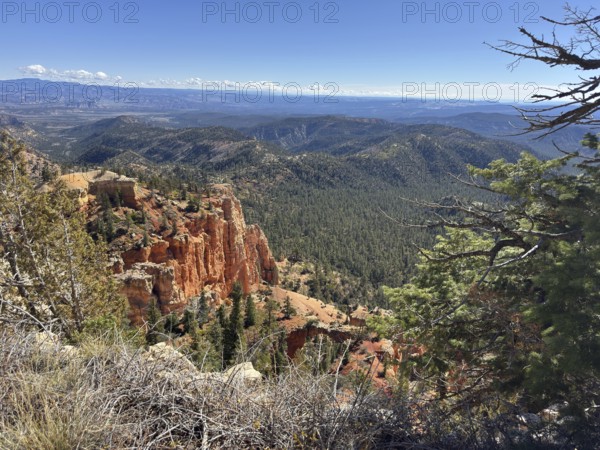 Panoramic view of a mountain landscape with characteristic red rocks and thick vegetation, Bryce Canyon National Park is located in southwestern Utah in the United States, panorama of steep rocks and extensive forests under a blue sky, Tropic, Utah, USA