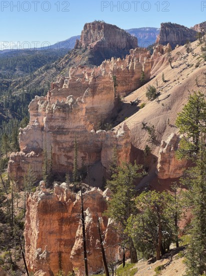 Dramatic rock formations of orange sandstone with pine trees in a vast desert landscape, Bryce Canyon National Park is located in southwestern Utah in the United States, Majestic canyon landscape with tall rock formations and a few trees under bright blue skies, Tropic, Utah, USA