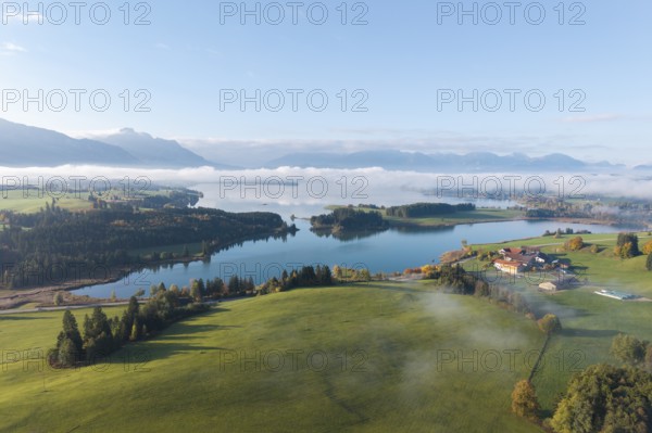Green hilly landscape with quiet Forggensee and light fog, mountains in the background, near Roßhaupten, Ostallgäu, Allgäu, Swabia, Bavaria, Germany