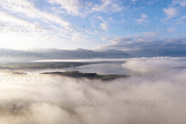 Morning fog hovers over Lake Forggensee with mountains in the background, near Rosshaupten, Ostallgäu, Allgäu, Swabia, Bavaria, Germany