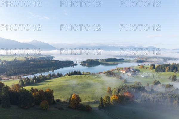 Idyllic landscape with Lake Forggensee, fog rising over green hills, farm visible in the distance, near Roßhaupten, Ostallgäu, Allgäu, Swabia, Bavaria, Germany
