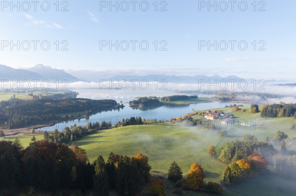 A vast landscape with the Forggenssee, surrounded by autumnal forests, near Roßhaupten, Ostallgäu, Allgäu, Swabia, Bavaria, Germany
