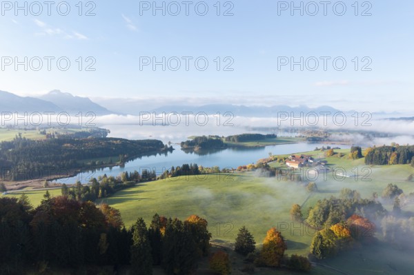 View of picturesque Forggensee surrounded by autumn trees, near Roßhaupten, Ostallgäu, Allgäu, Swabia, Bavaria, Germany