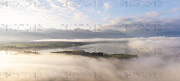 Foggy landscape with view of Lake Forggensee and mountain skyline in the background, near Rosshaupten, Ostallgäu, Allgäu, Swabia, Bavaria, Germany