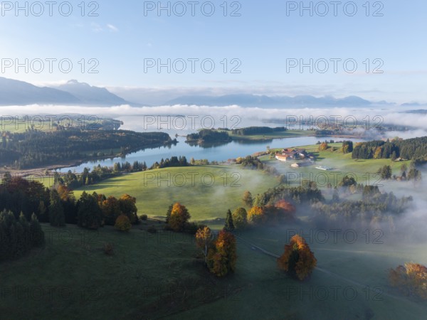 Early autumn morning landscape with idyllic Forggensee and picturesque hills surrounded by fog, near Roßhaupten, Ostallgäu, Allgäu, Swabia, Bavaria, Germany