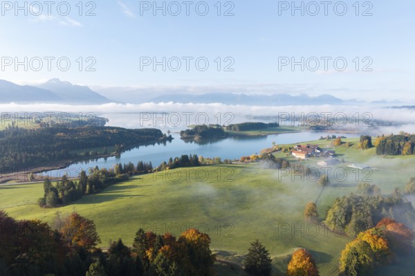 A picturesque view of Lake Forggensee surrounded by autumn landscape, near Roßhaupten, Ostallgäu, Allgäu, Swabia, Bavaria, Germany