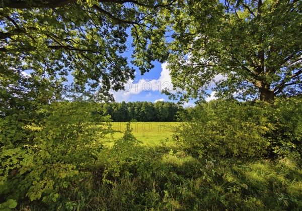 Cultural landscape, Sonnenberg municipality, Oberhavel district, Brandenburg, Germany