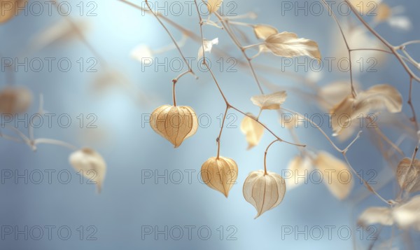 A branch with three yellow flowers and a blue sky in the background. The flowers are wilted and the sky is clear. AI generated