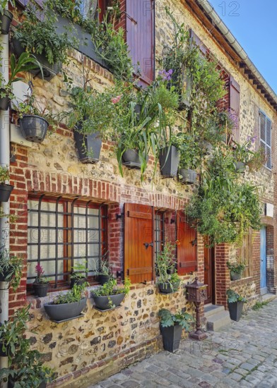 A quaint old masonry building with wooden shutters, adorned with numerous planters overflowing with greenery and flowers hanging on the facade. Rustic cobblestone path runs along the base of the house, Honfleur, Normandy, France
