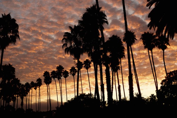 The coastal town of San Luis Obispo, California, USA