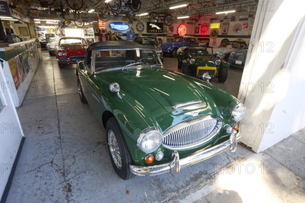 San Luis Obispo, a city in San Luis Obispo County in the U.S. state of California with 47, 063 inhabitants, An Austin Healey in a car repair shop, San Luis Obispo, Kaliornia, USA