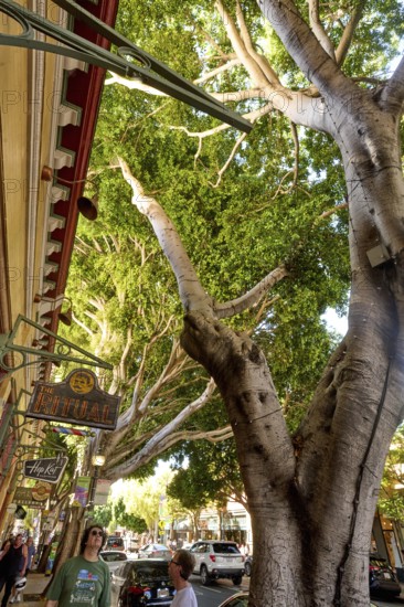 San Luis Obispo, a city in San Luis Obispo County in the U.S. state of California with 47, 063 inhabitants, San Luis Obispo, Kaliornia, USA