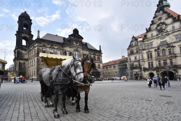 Dresden, Gerrmany- May 6, 2017: Horses on the square in old town during a sunny day