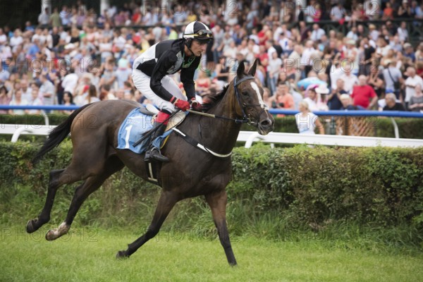 WROCLAW, POLAND - SEPTEMBER 4, 2016: Horse racing - Grand Wroclawska Prize Airport Wroclaw. In action L.Matusky on the horse Lingarry