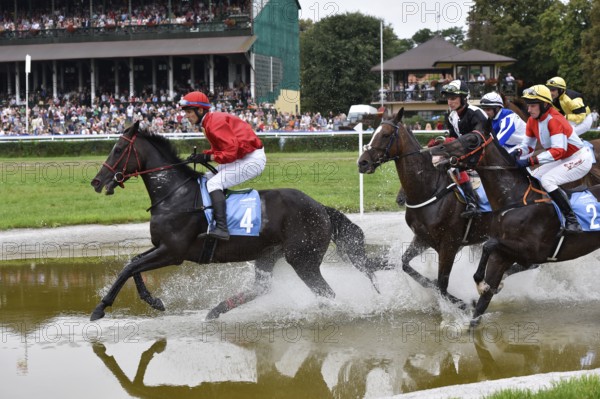 WROCLAW, POLAND - SEPTEMBER 4, 2016: Horse racing - Grand Wroclawska Prize Airport Wroclaw. Leads N. Loven (4) on a horse Delight My Fire