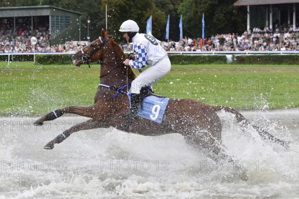 WROCLAW, POLAND - SEPTEMBER 4, 2016: Horse racing - Grand Wroclawska Prize Airport Wroclaw. In action J. Kousek on the horse Larizano