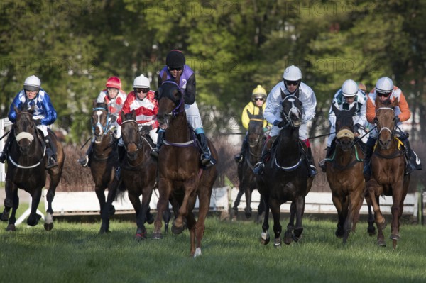 WROCLAW, POLAND - APRIL 24, 2016: Race with fences for 4-year old horses a Racecourse WTWK Partynice