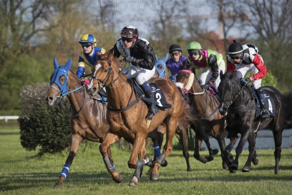 WROCLAW, POLAND - APRIL 24, 2016: International steeplechase for 5-year old and oldest horses at Racecourse WTWK Partynice
