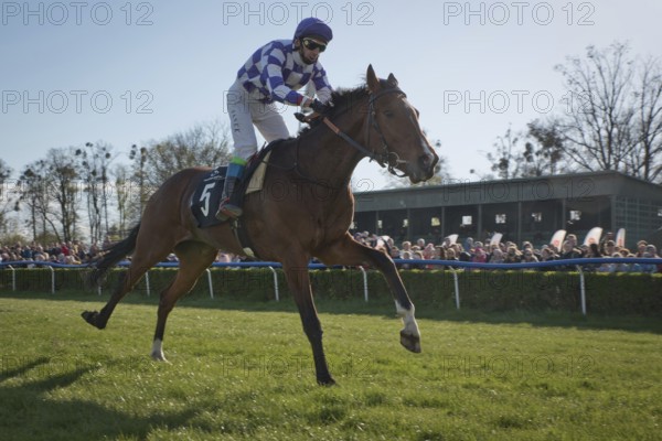 WROCLAW, POLAND - APRIL 24, 2016: International race for 3-year-old horses Group III at Racecourse WTWK Partynice. In action J. Kolakowski on a horse Lope