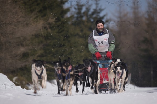 JAKUSZYCE, POLAND - MARCH 16, 2016: Pavel Pfeifer during International Sled Dog Race Border Rush 2016