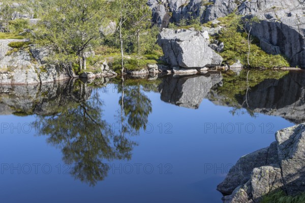 A mountain lake, a few birch trees growing on its shore, and crystalline rocks of the Scandinavian Mountains near the Preikestolen hiking trail in Rogaland. Seen on a sunny, clear summer day. Vestlandet, Western Norway
