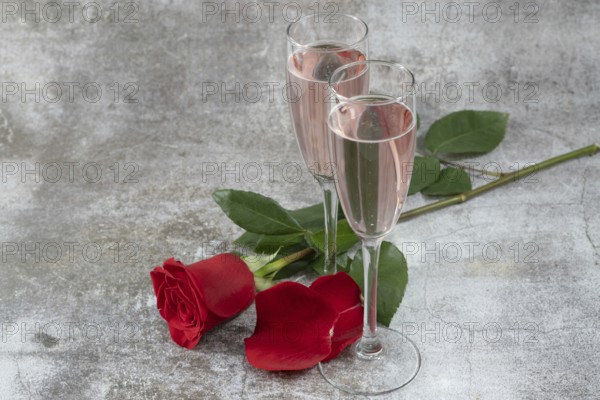 Two glasses of champagne and a red rose isolated on a gray table