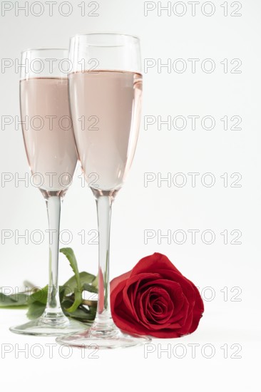 Two glasses of champagne and a red rose isolated on a white background